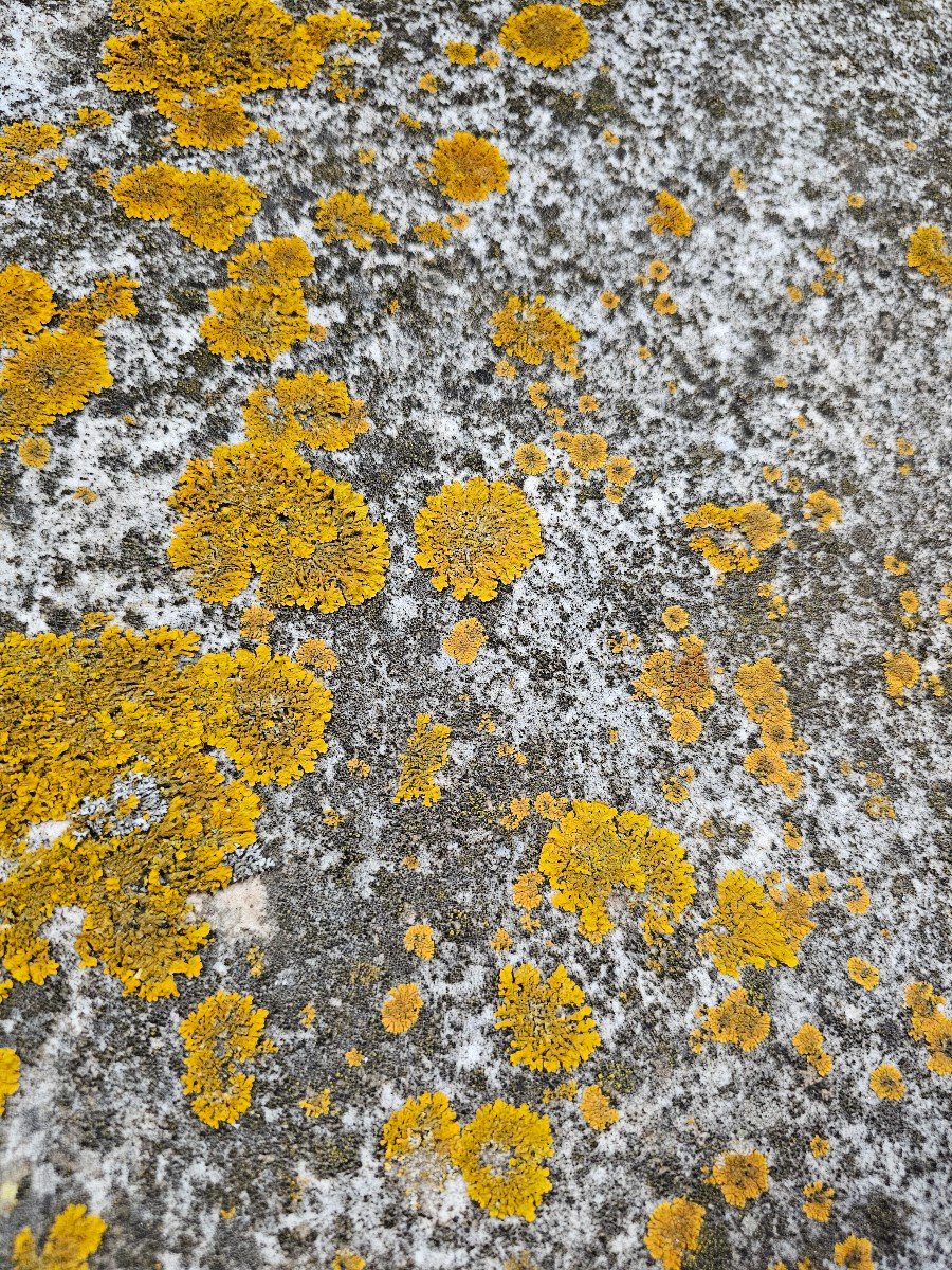 Guéridon De Jardin,  Piètement En Fonte Et Plateau Marbre.  Très Belle Partie Naturelle. -photo-6