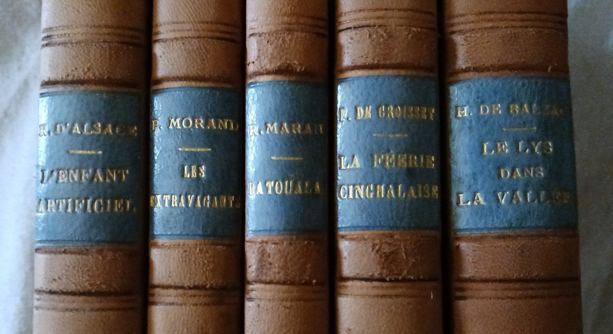 Set Of 20 Books / Early 20th Century / 120 Euros-photo-5