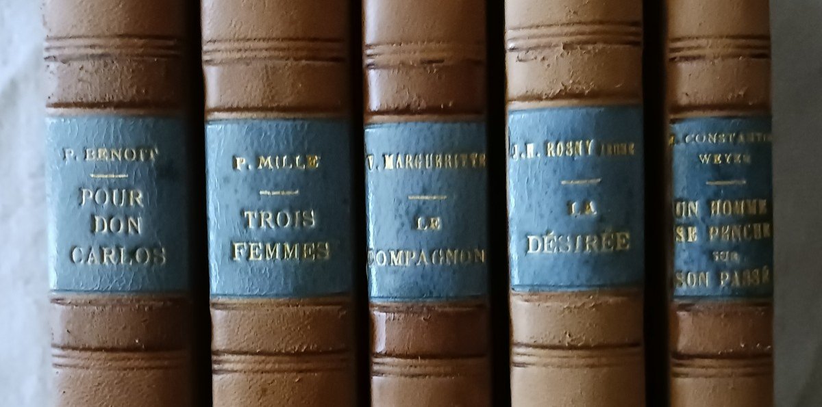 Set Of 20 Books / Early 20th Century / 120 Euros-photo-6