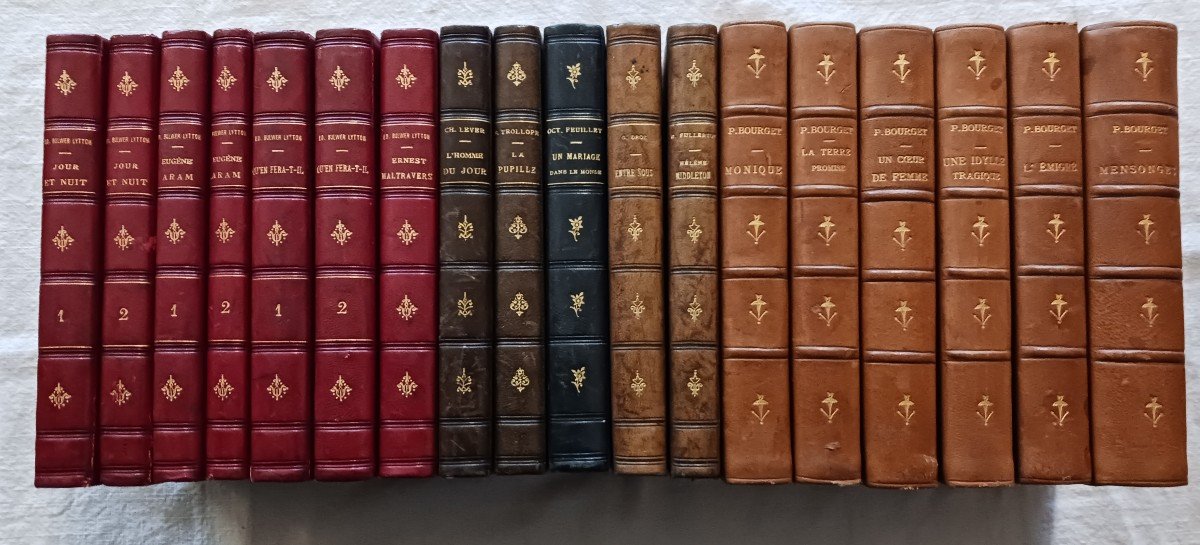 Set Of 18 Books / 19th Century