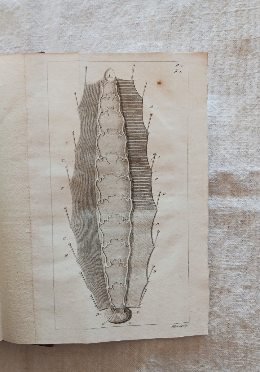 Memoirs To Serve The Natural History Of Leeches / 1806-photo-1