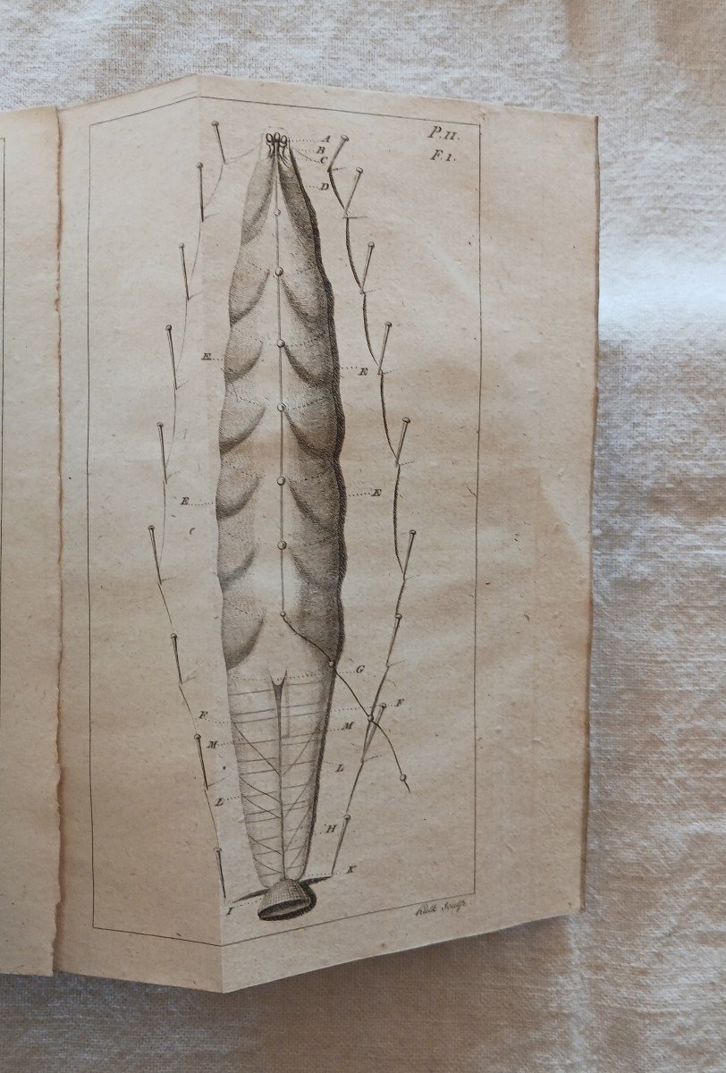 Memoirs To Serve The Natural History Of Leeches / 1806-photo-2