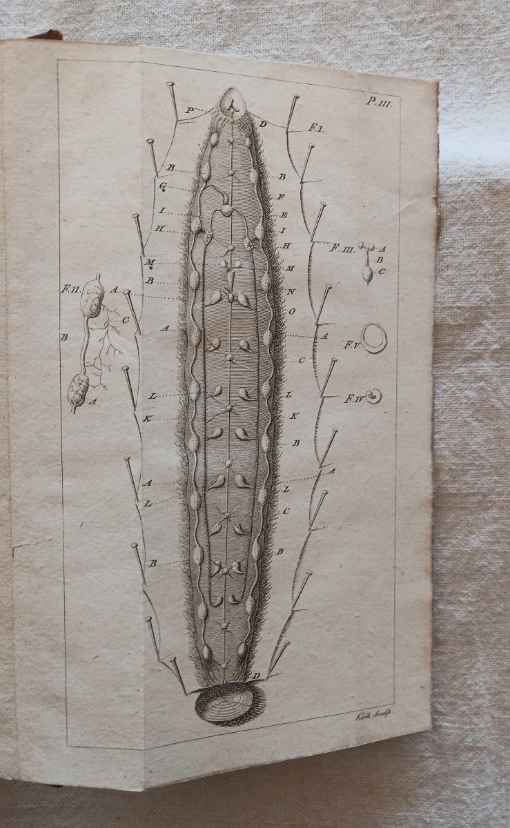 Mémoires Pour Servir à l'Histoire Naturelle Des Sangsues   /   1806-photo-3