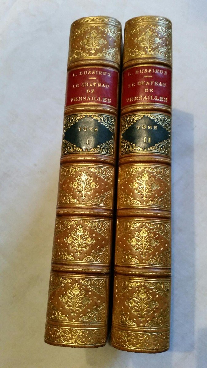 The Palace Of Versailles By Dussieux 1881 XIX 2 Volumes Very Well Bound