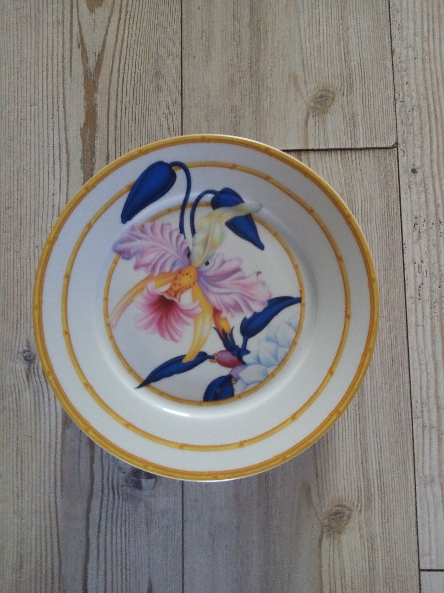 Aurore Tropical Dessert Plates Paris Porcelain-photo-2