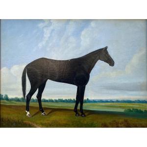 Black Stallion, John Mcauliffe