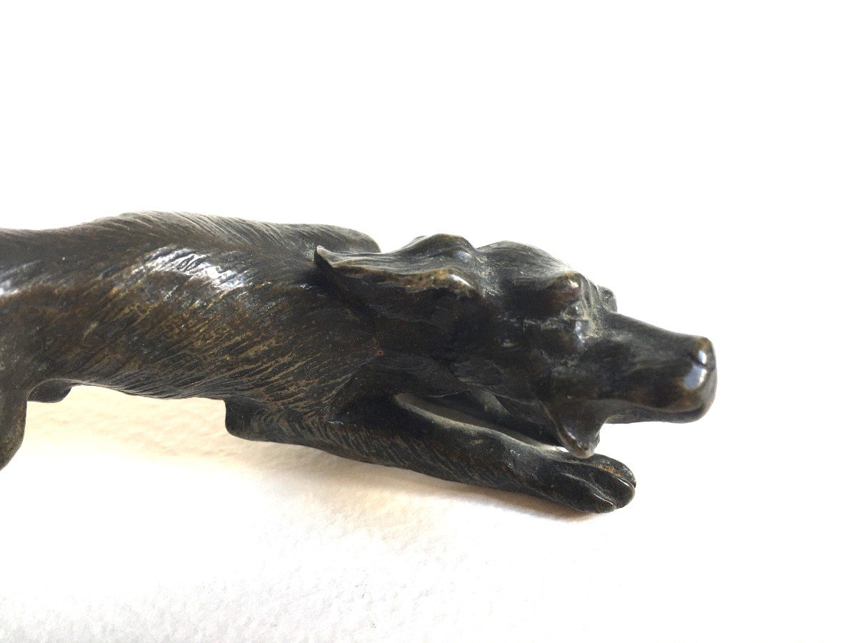 19th Century Vienna Bronze Dog-photo-2