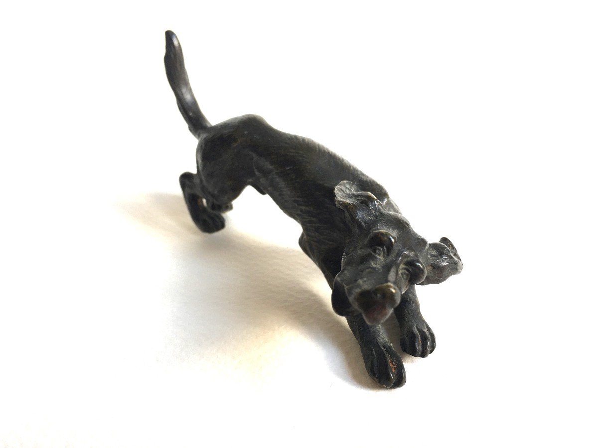 19th Century Vienna Bronze Dog-photo-3