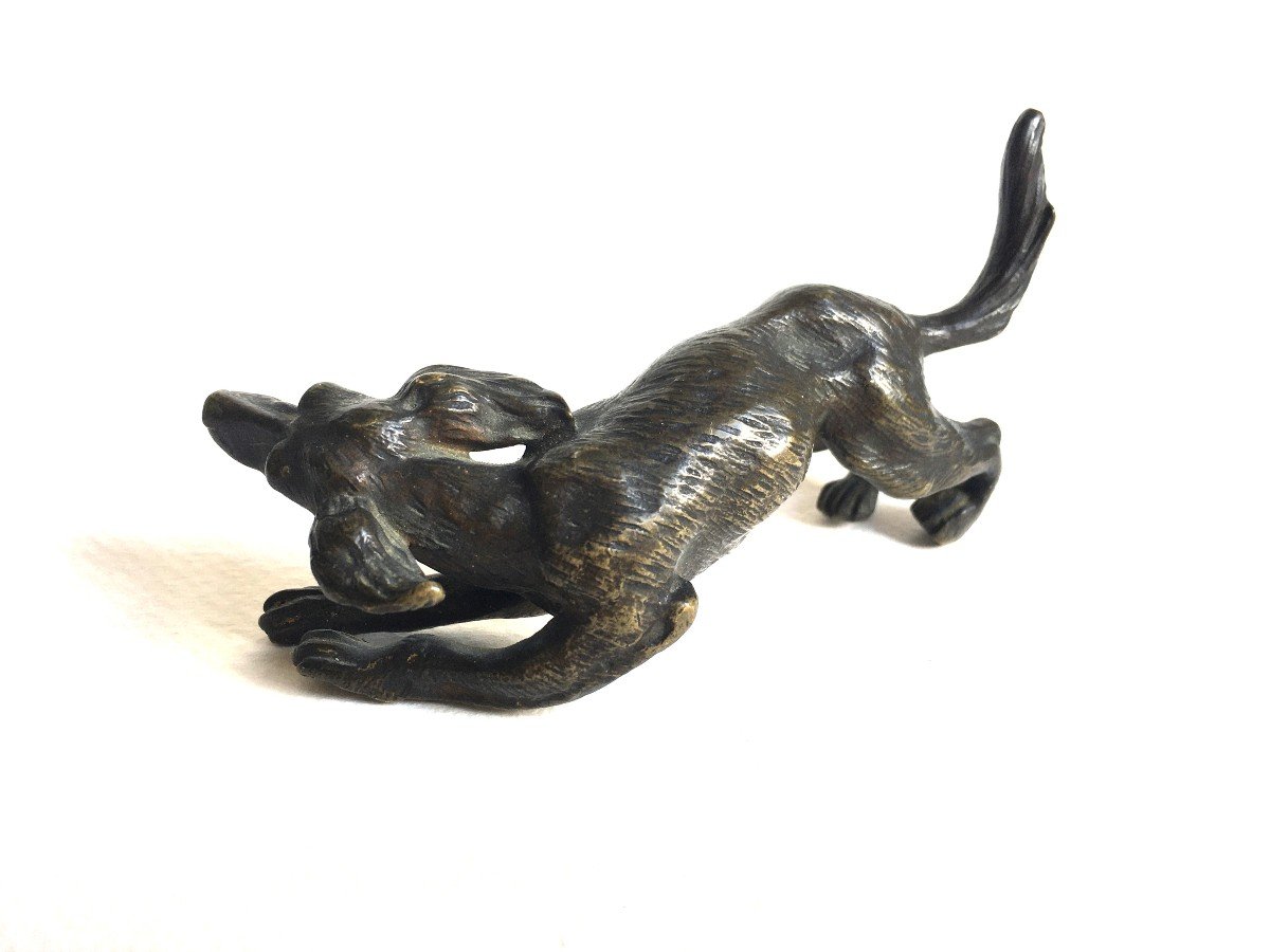 19th Century Vienna Bronze Dog-photo-4