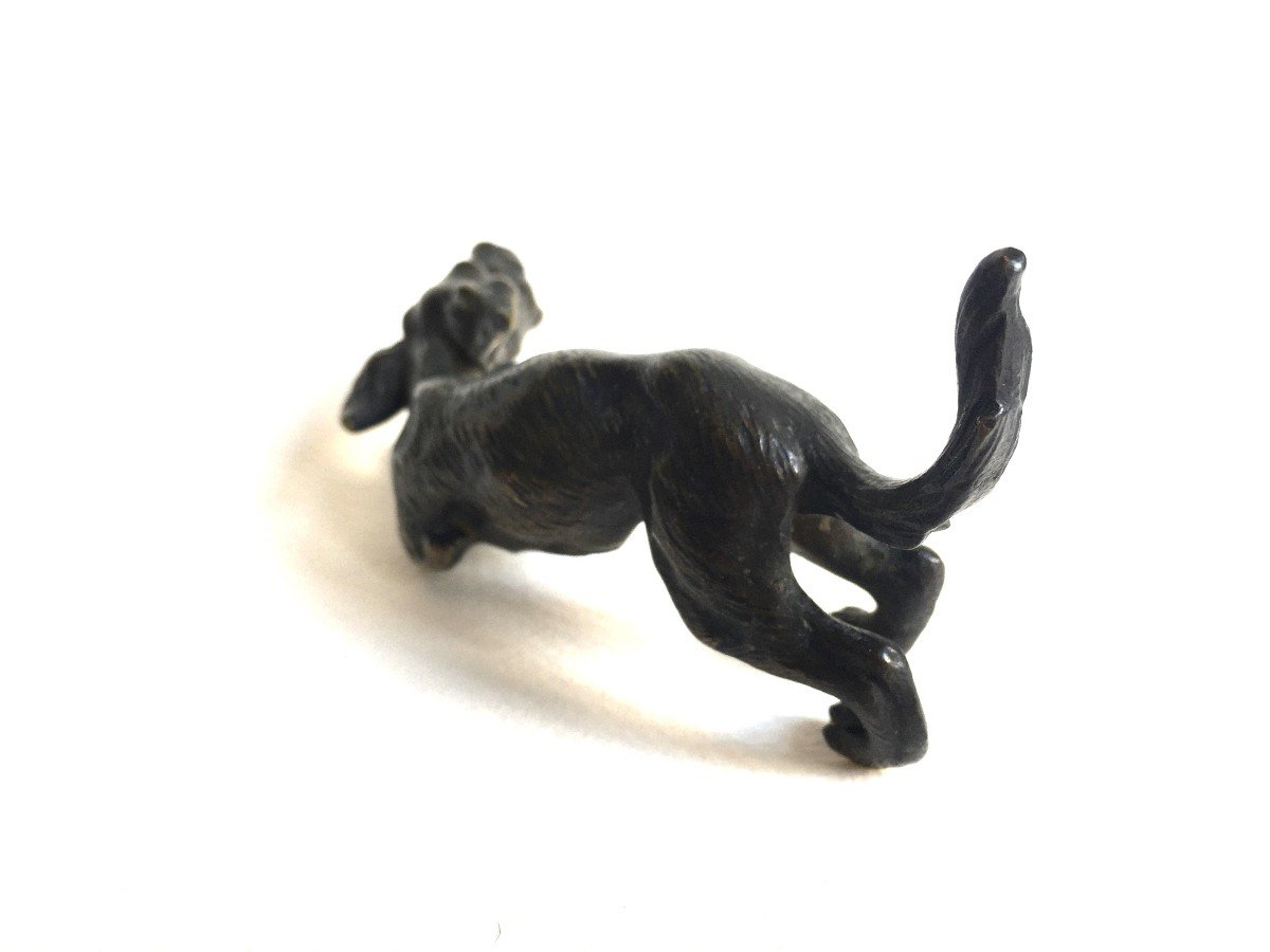 19th Century Vienna Bronze Dog-photo-1