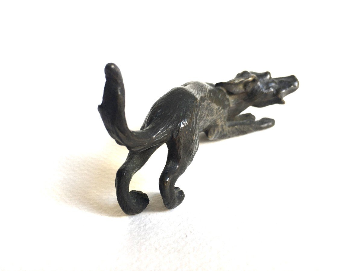 19th Century Vienna Bronze Dog-photo-2