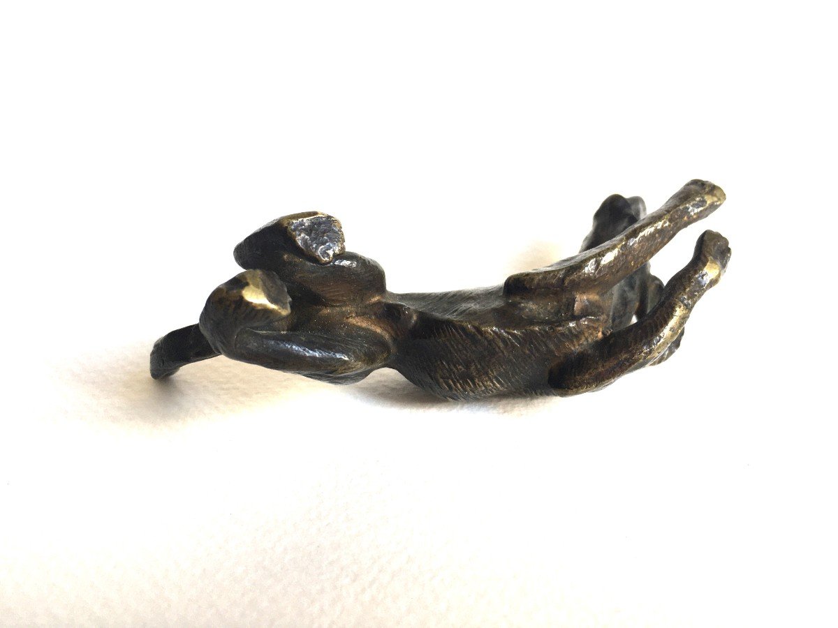 19th Century Vienna Bronze Dog-photo-3