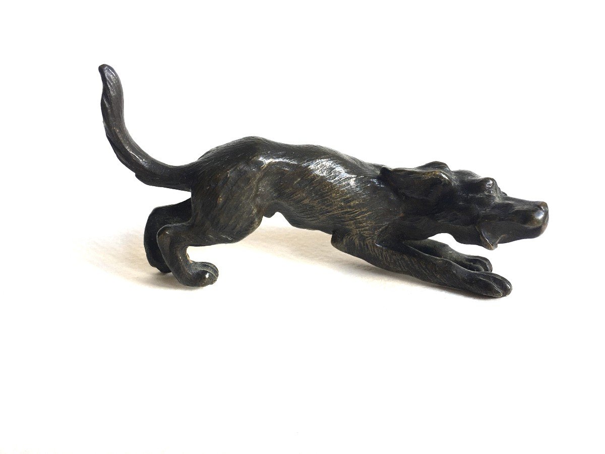 19th Century Vienna Bronze Dog