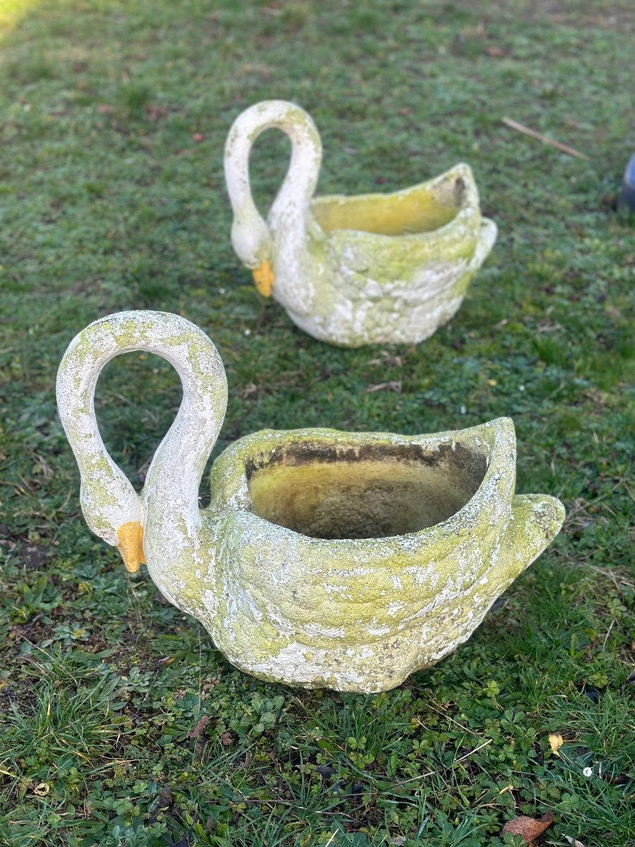 Large Pair Of Cement Swans-photo-2