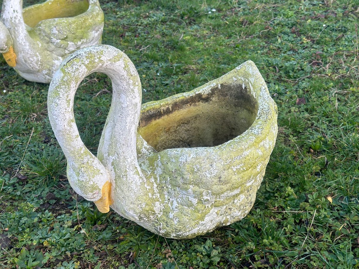 Large Pair Of Cement Swans-photo-3