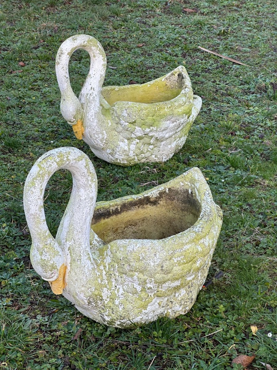 Large Pair Of Cement Swans