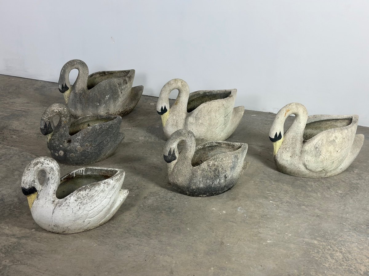 Series Of 6 Cement Swans -photo-2