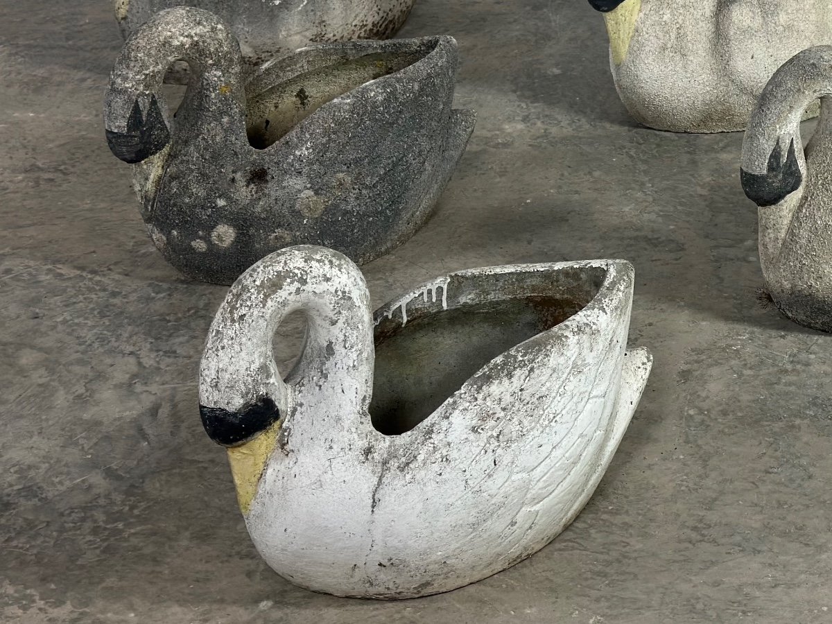 Series Of 6 Cement Swans -photo-3