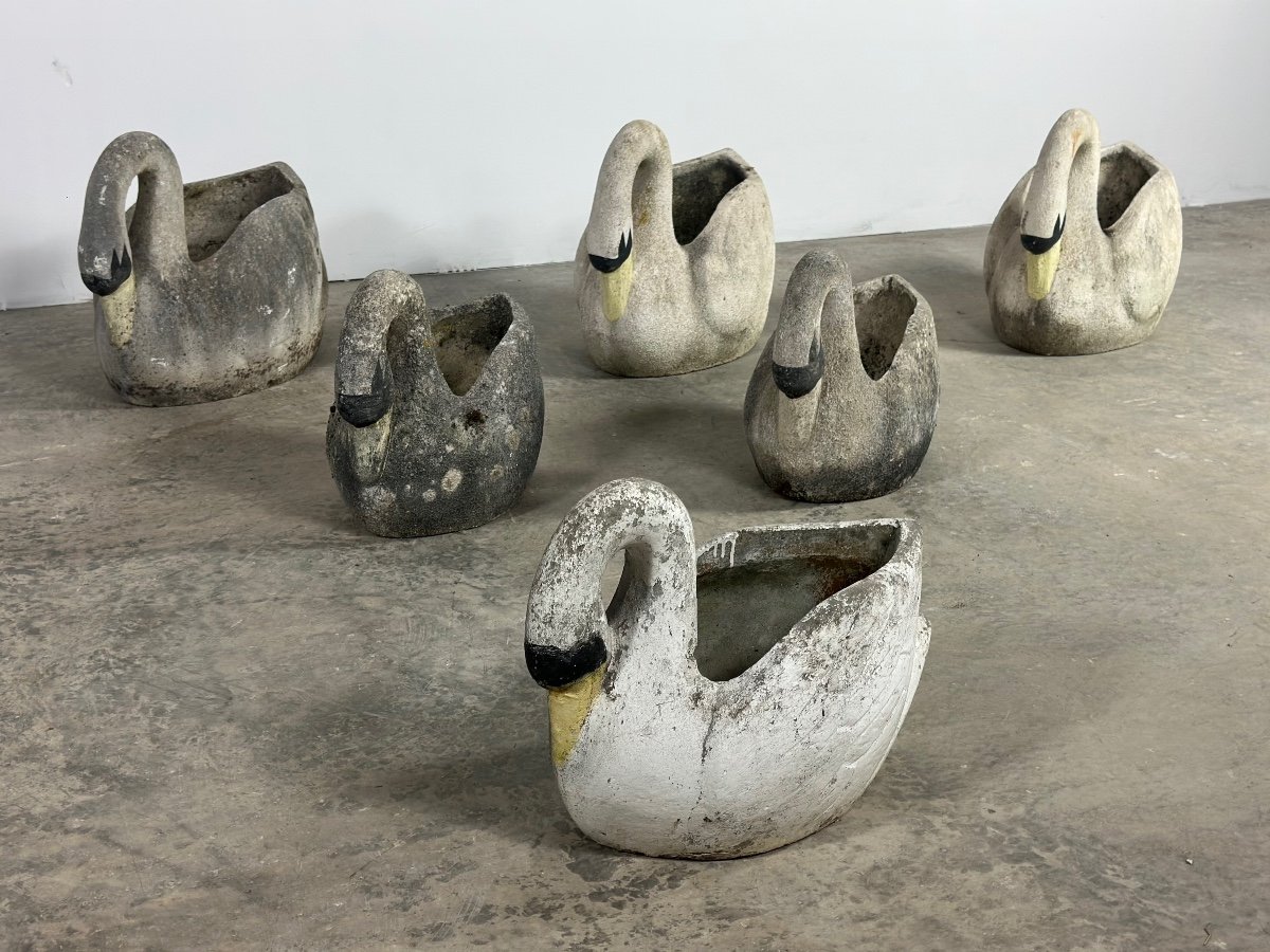 Series Of 6 Cement Swans 