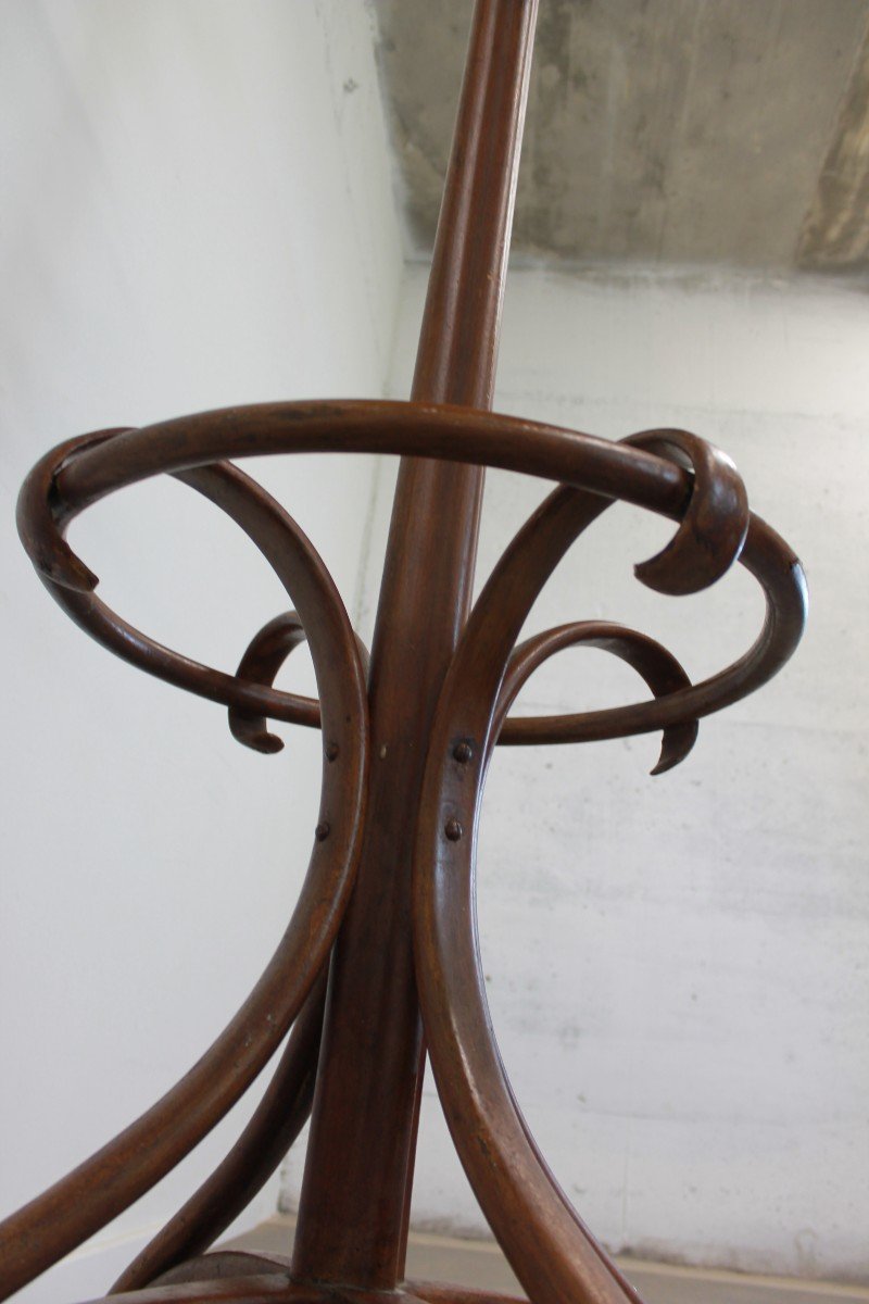 Thonet Style Parrot Coat Rack-photo-4