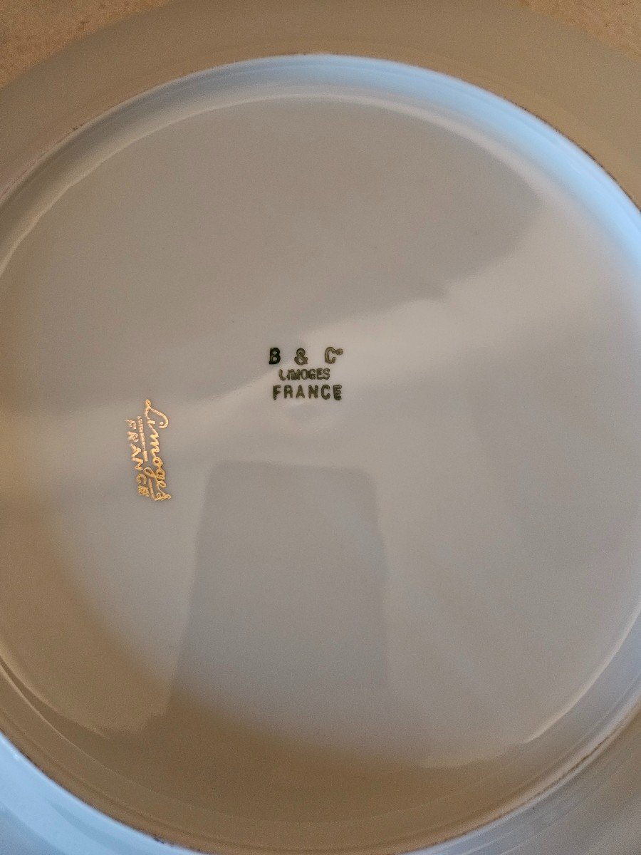 Nine Plates. Game In Flight Decor. B&co Bernardaud Limoges-photo-3