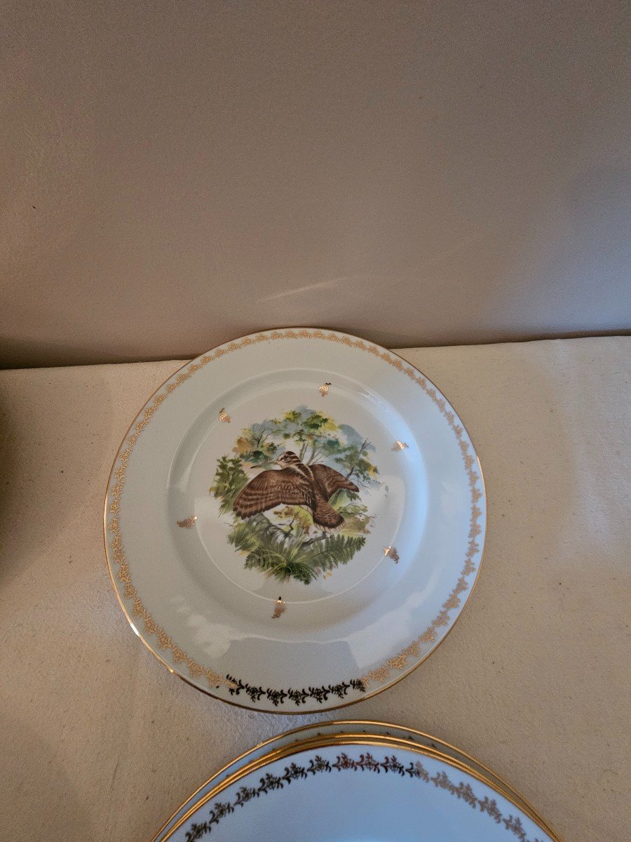 Nine Plates. Game In Flight Decor. B&co Bernardaud Limoges-photo-2