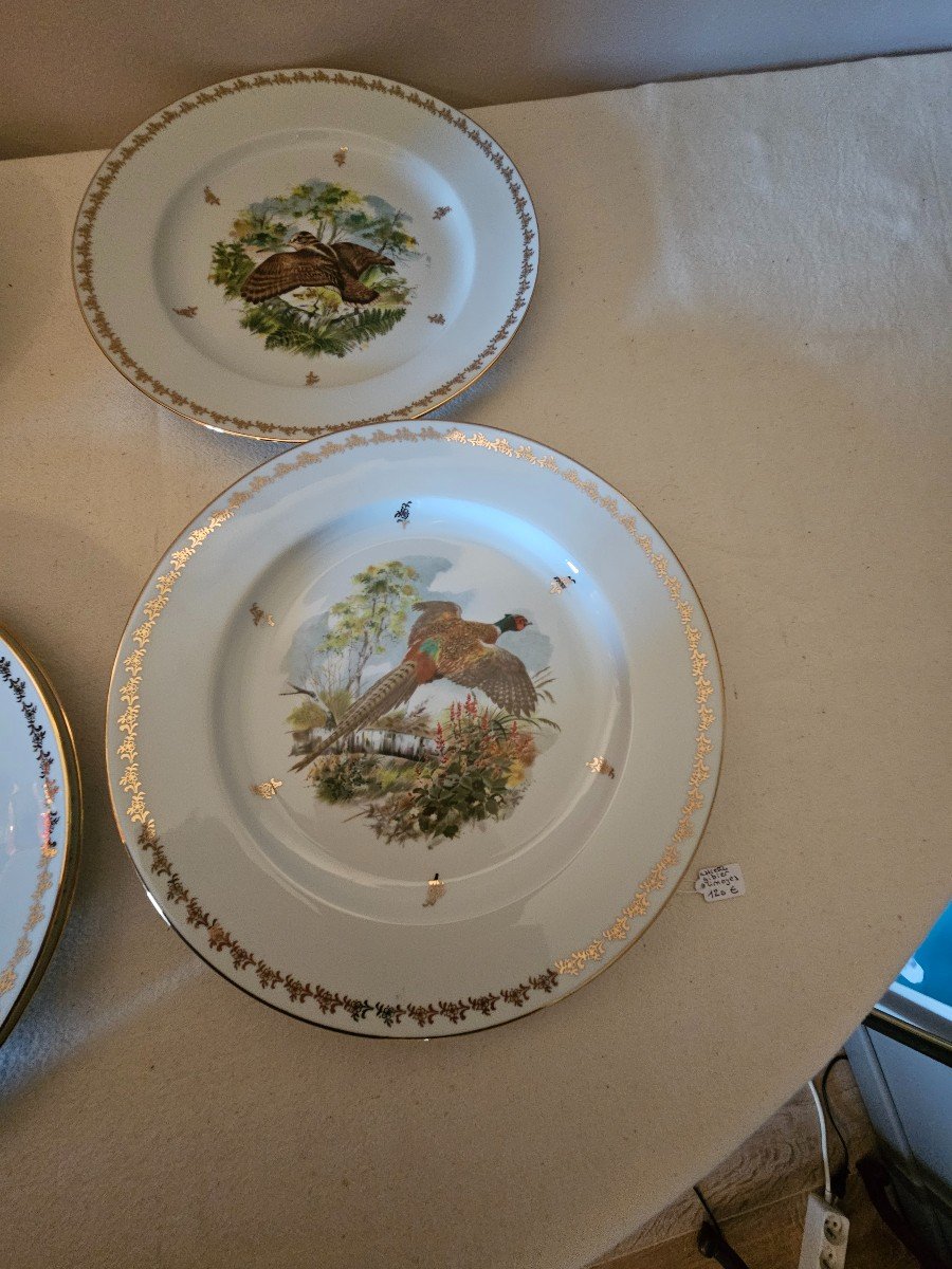 Nine Plates. Game In Flight Decor. B&co Bernardaud Limoges-photo-3