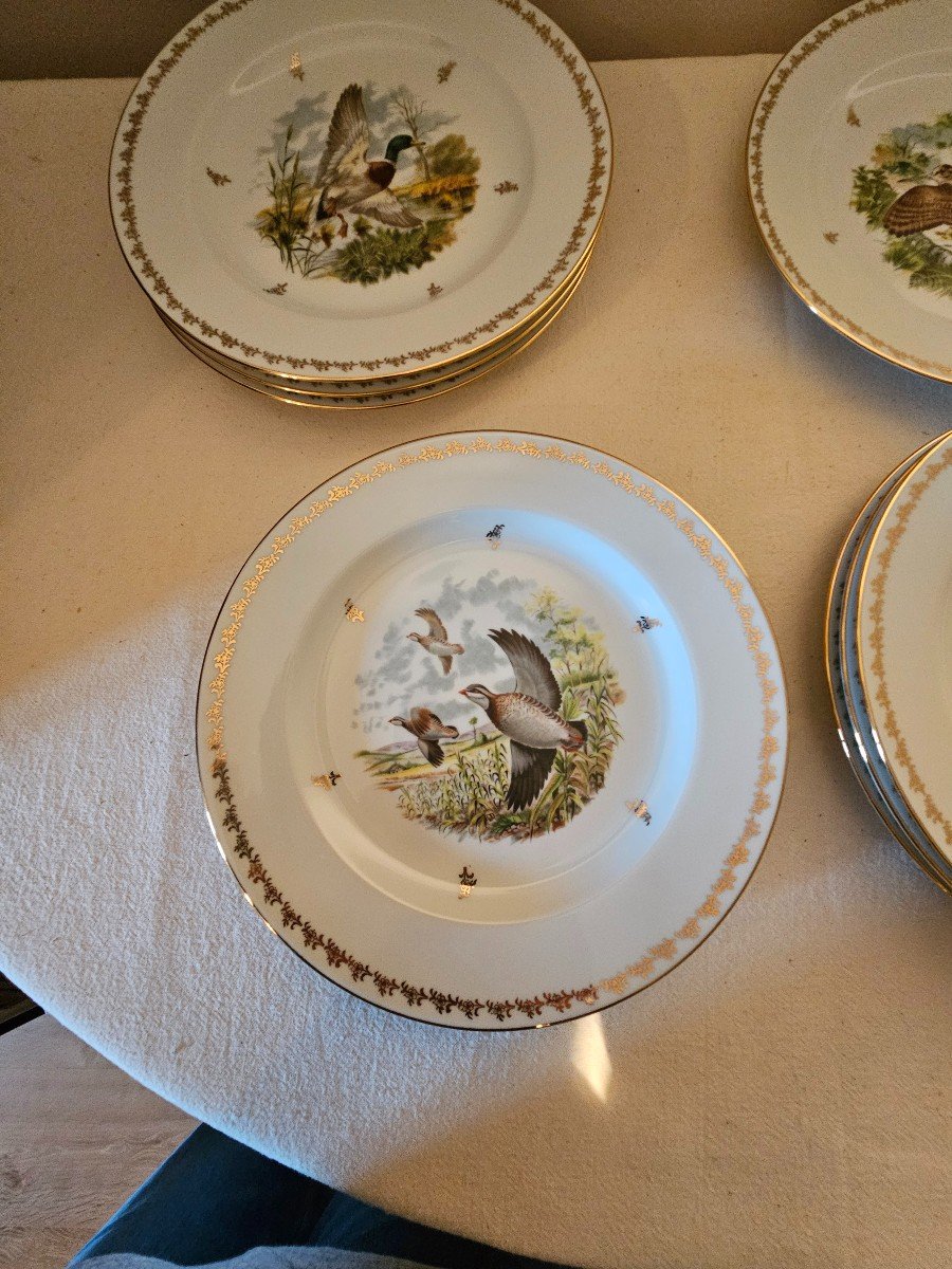 Nine Plates. Game In Flight Decor. B&co Bernardaud Limoges-photo-4