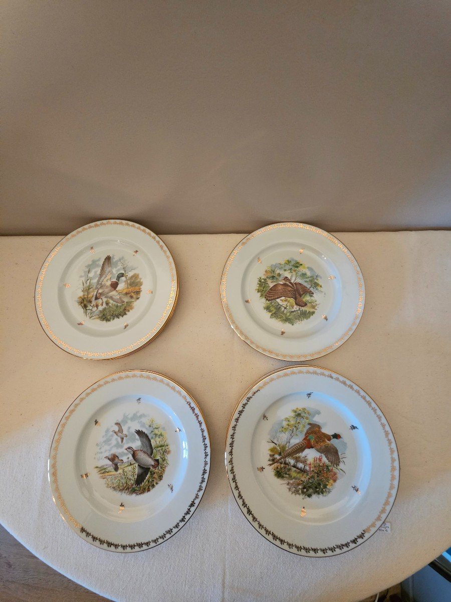 Nine Plates. Game In Flight Decor. B&co Bernardaud Limoges