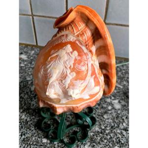 Table Lamp In Carved Shell Cameo Style