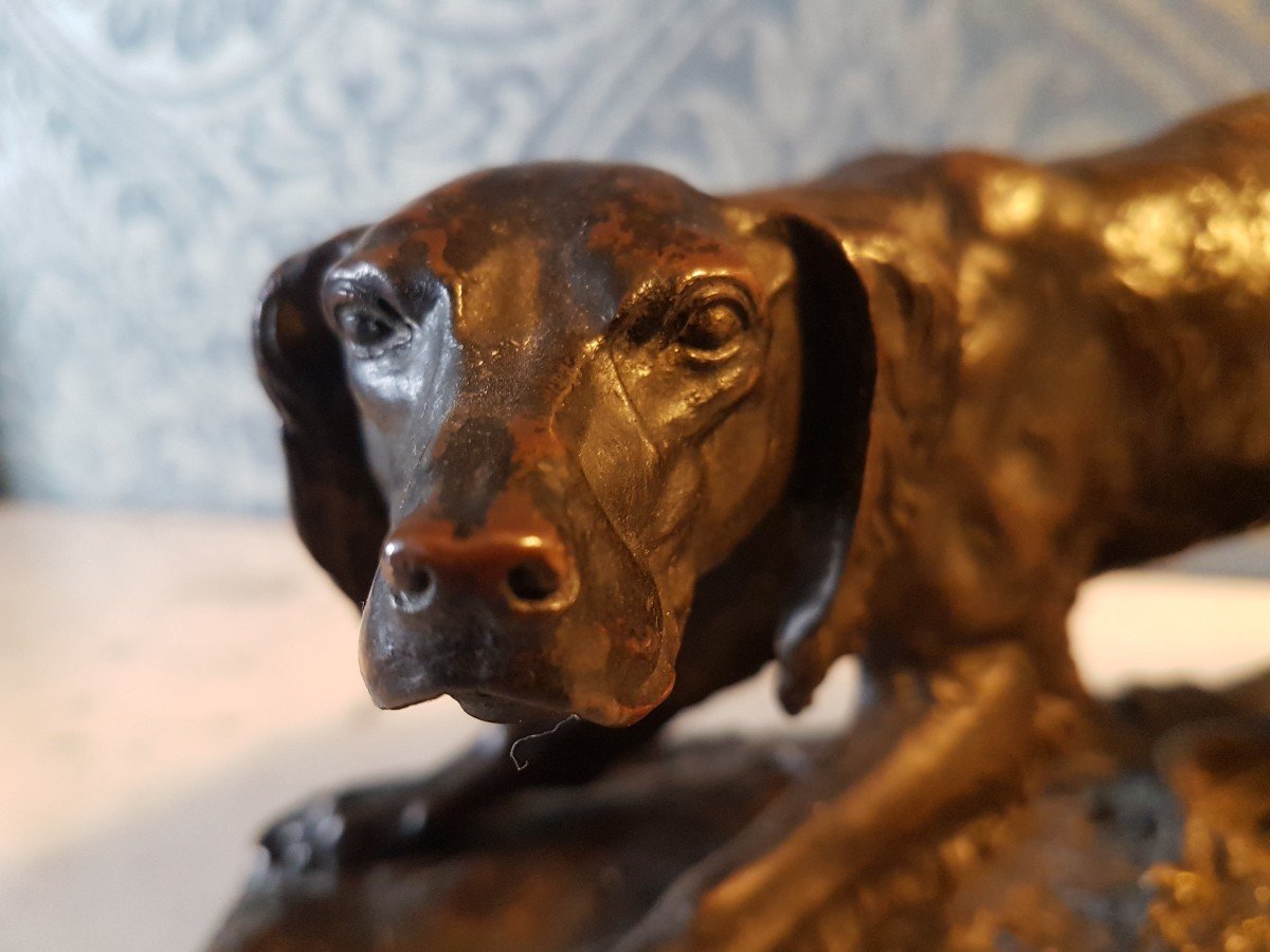 Bronze Dog. Pierre Jules Mene. -photo-6