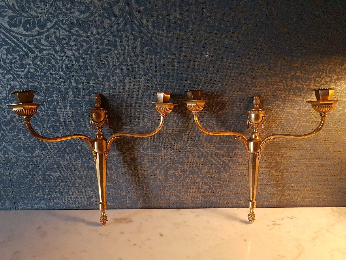 Pair Of Louis XVI Style Wall Chandeliers In Gilt Bronze, 19th Century. 