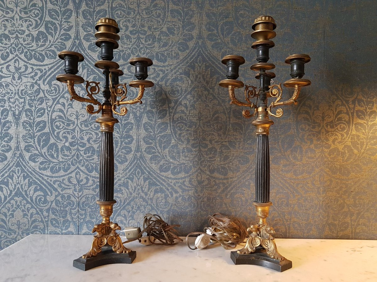 Pair Of Charles X Bronze Electrifice Candelabras. -photo-2