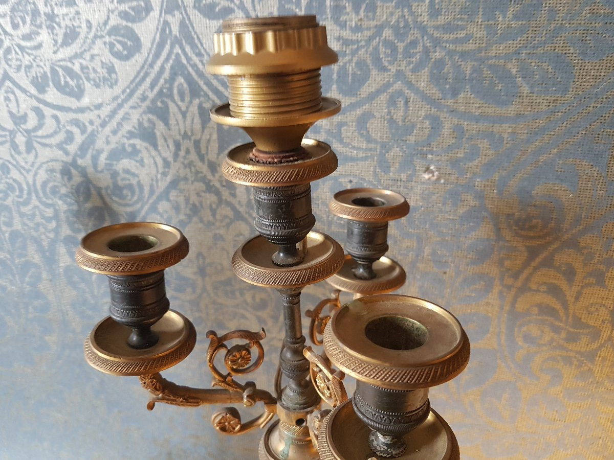 Pair Of Charles X Bronze Electrifice Candelabras. -photo-2