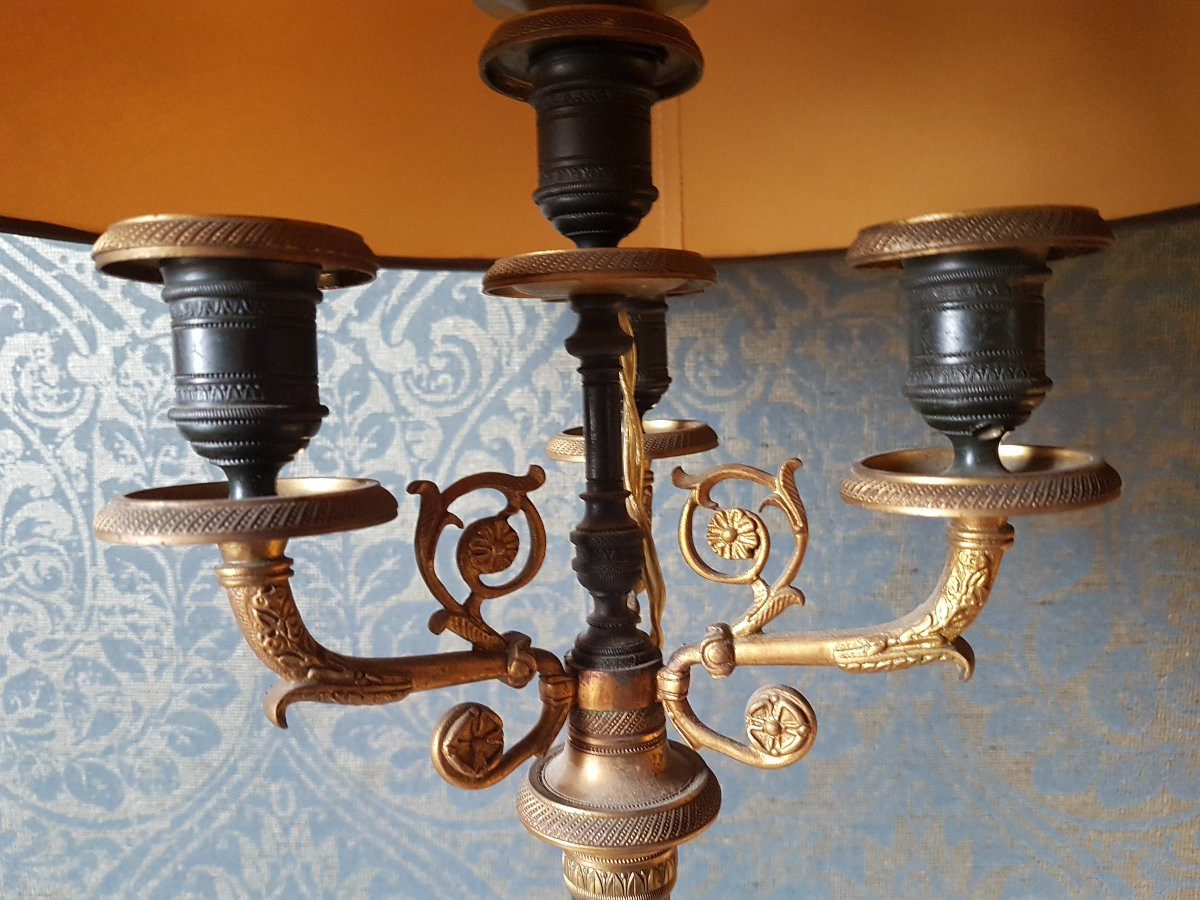 Paire Bronze Candelabre Electrifice Charles X. -photo-7