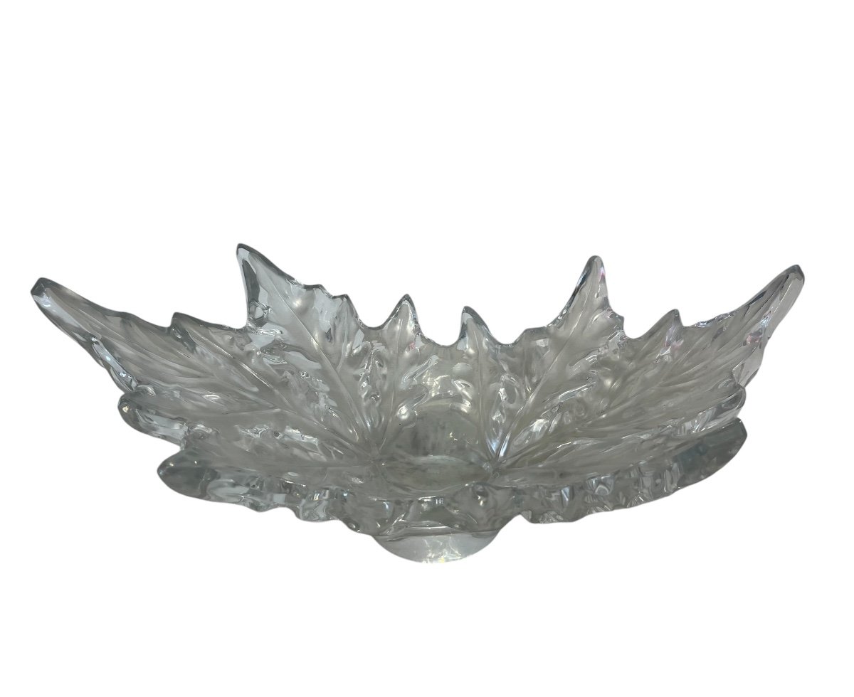 Coupe - Cristal - Lalique - Champs élysée - France - XX ème 