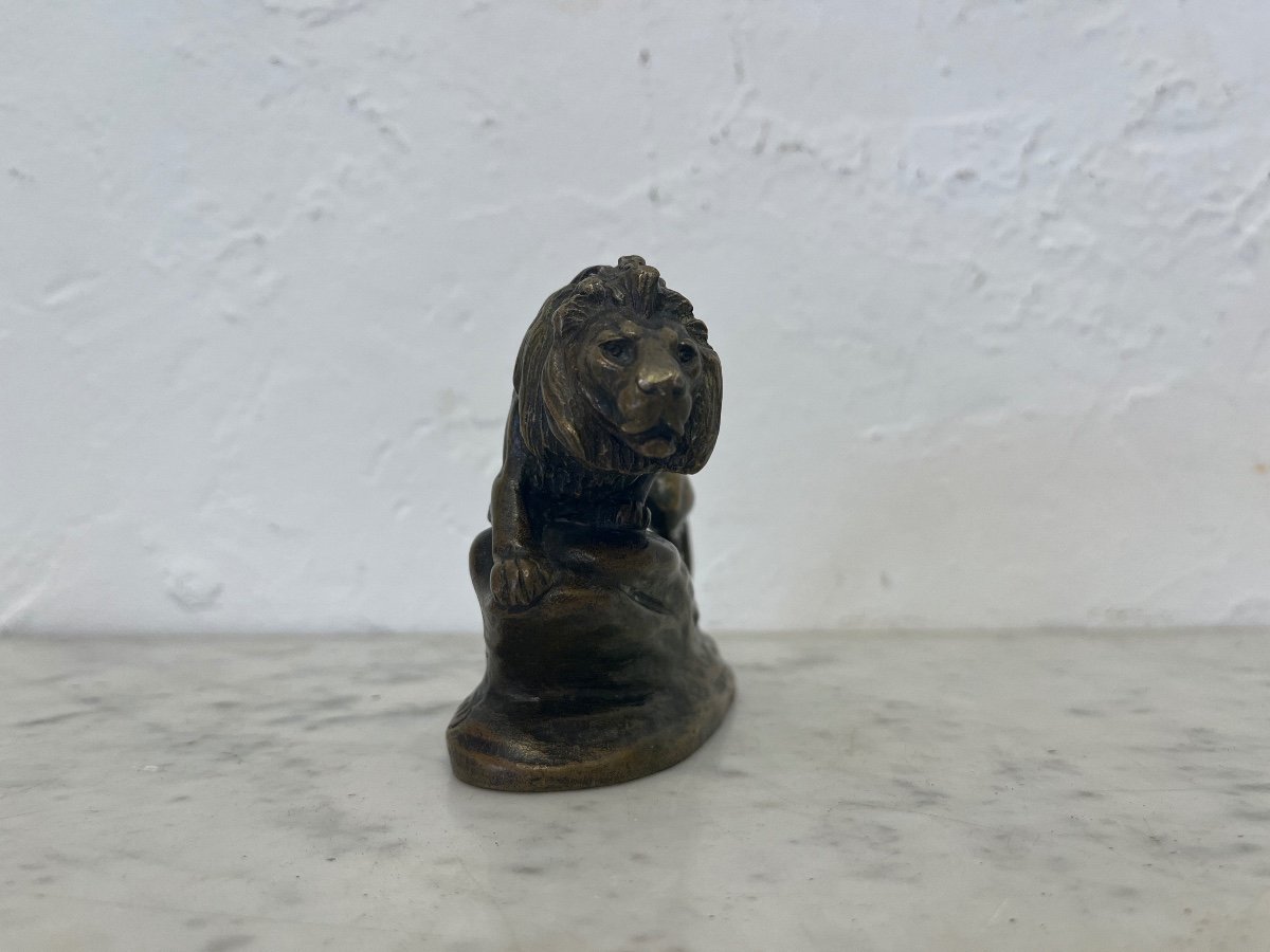 Sculpture - Bronze - Lion - Masson/susse Frs - France - 19th Century -photo-2