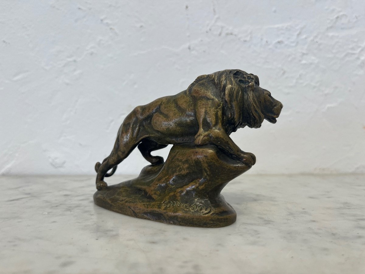 Sculpture - Bronze - Lion - Masson/susse Frs - France - 19th Century -photo-3