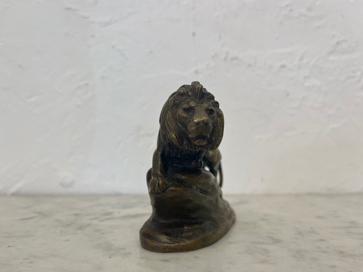 Sculpture - Bronze - Lion - Masson/susse Frs - France - 19th Century -photo-3