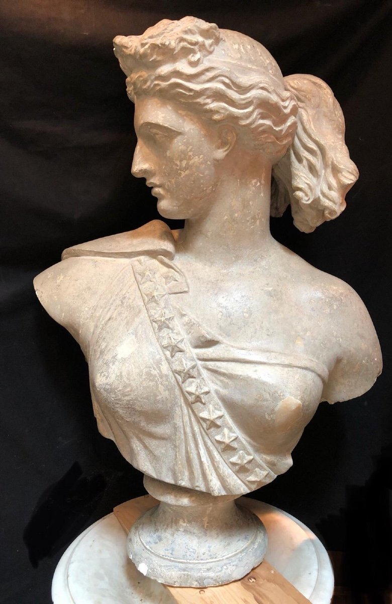 Large Female Plaster Bust-photo-4