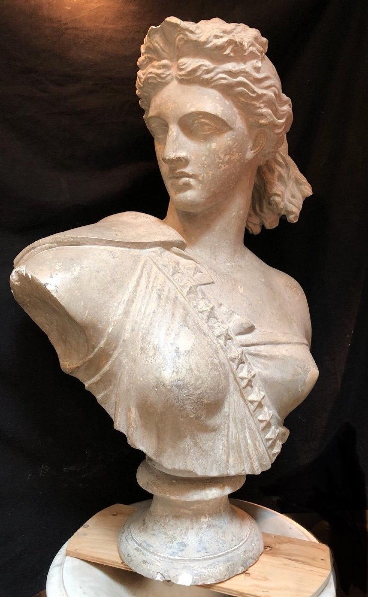 Large Female Plaster Bust