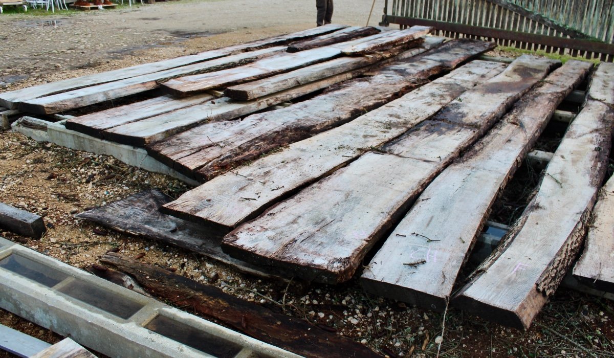 Lot Of Old Trays In Oak And Ash-photo-3