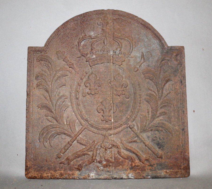 Cast Iron Fireplace Plate Decorated With Lily Flowers