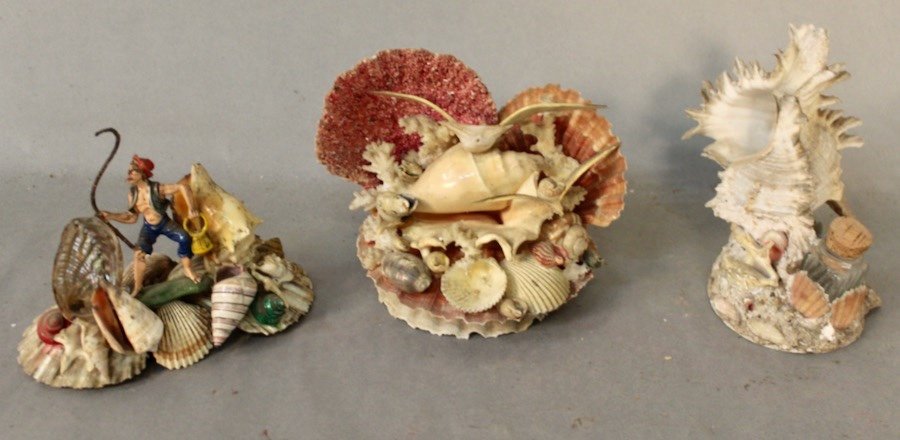 Suite De 3 Compositions En Coquillages De Mer 