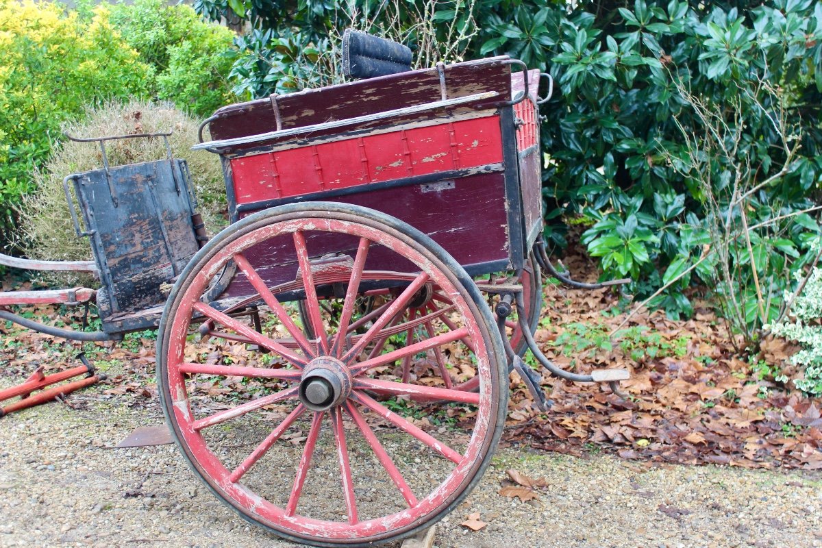 Voiture Hippomobile Tilbury-photo-2