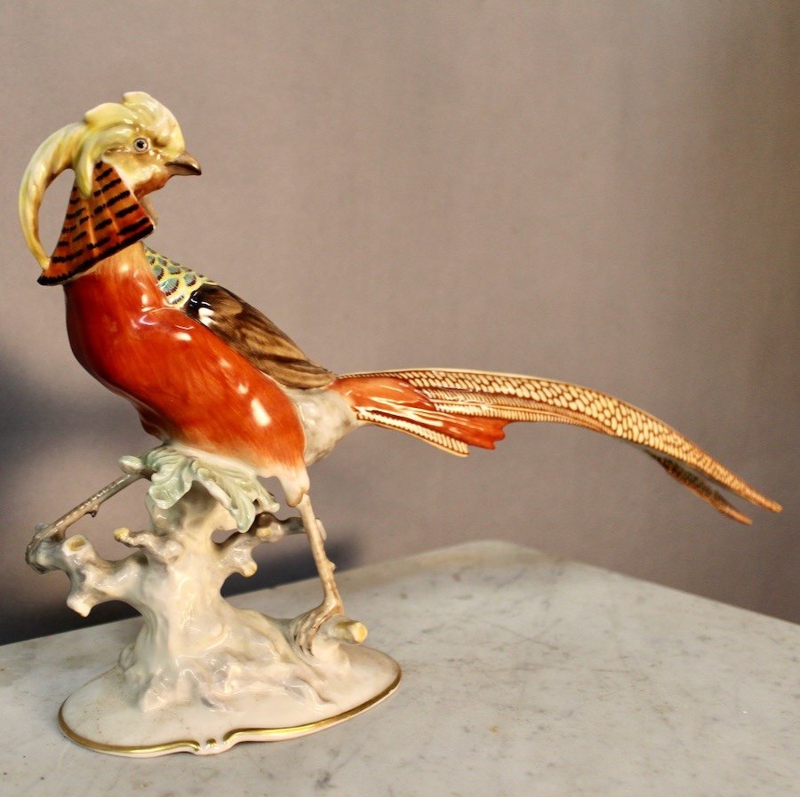 Golden Porcelain Pheasant Signed Hutschenreuther Karl Tutter-photo-2