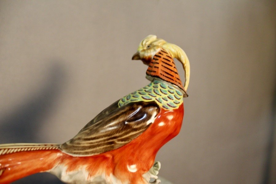 Golden Porcelain Pheasant Signed Hutschenreuther Karl Tutter-photo-4