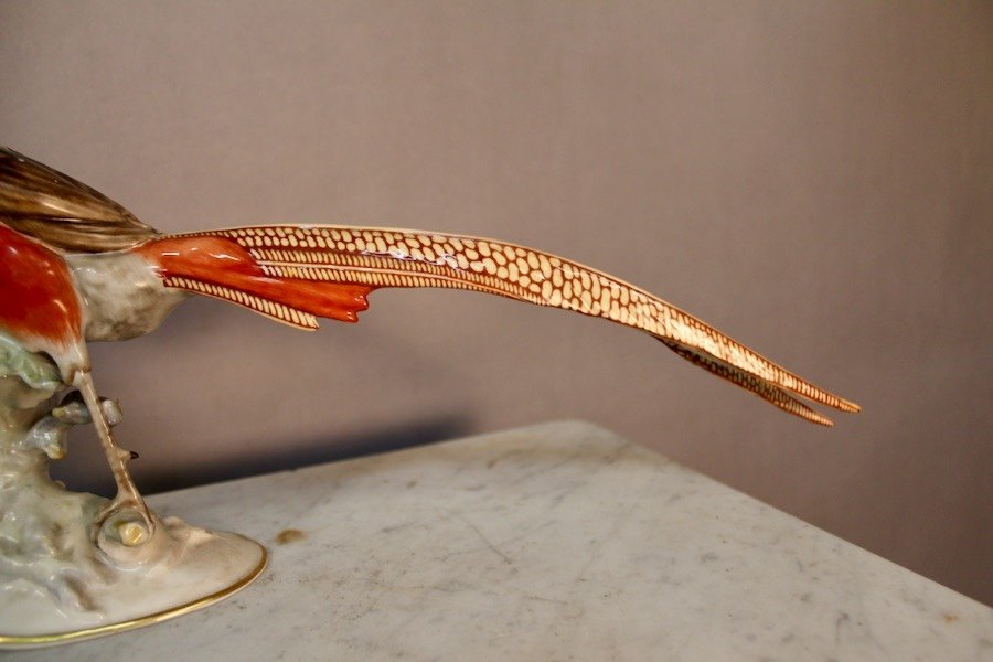 Golden Porcelain Pheasant Signed Hutschenreuther Karl Tutter-photo-2