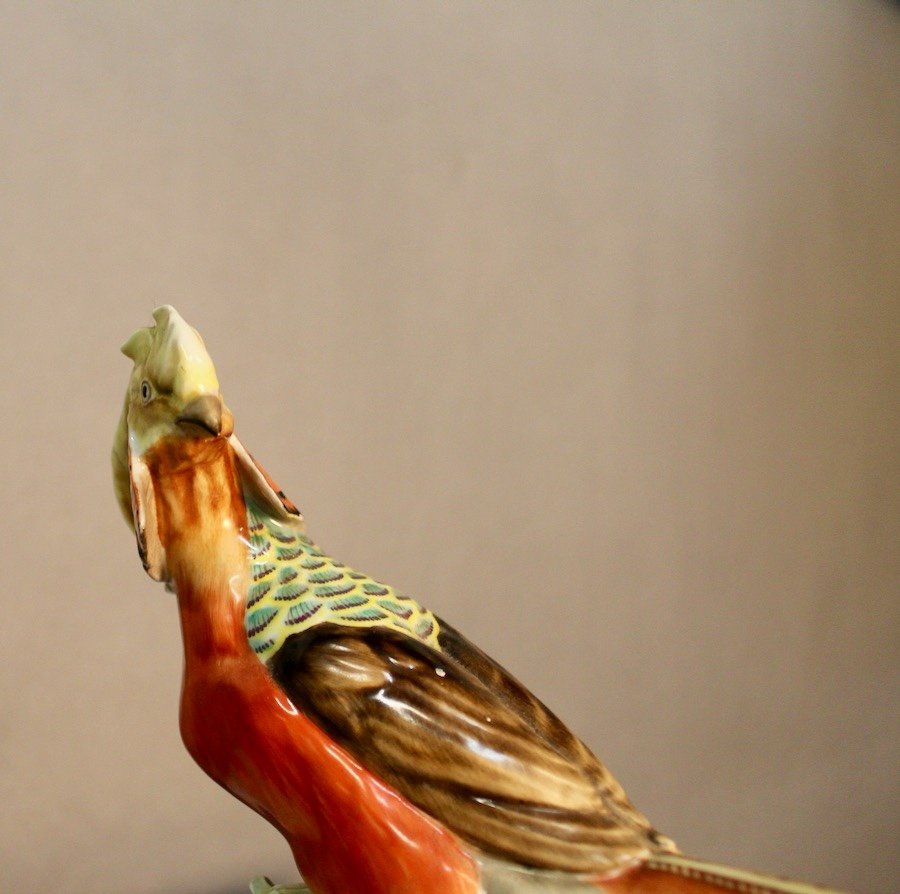 Golden Porcelain Pheasant Signed Hutschenreuther Karl Tutter-photo-5