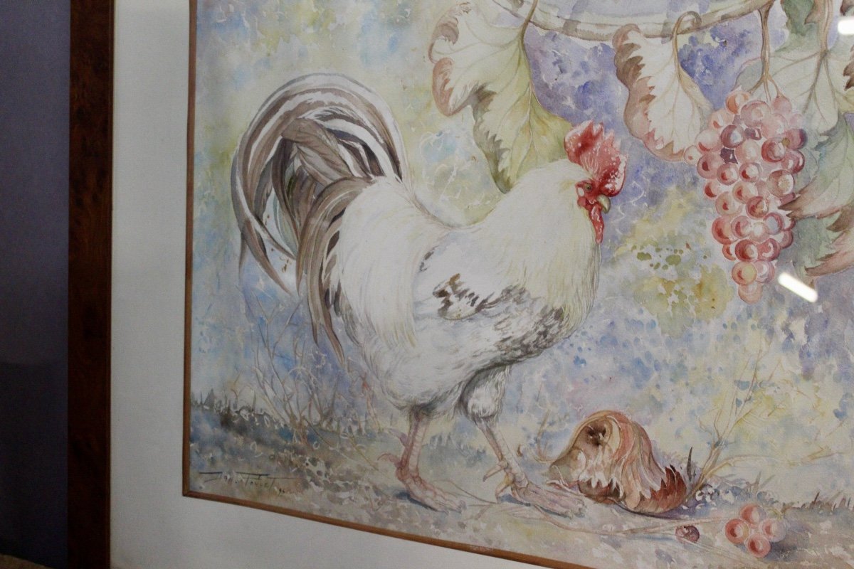 Aquarelle Coq Signée Et Datée-photo-1